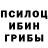 Псилоцибиновые грибы Cubensis lommomies