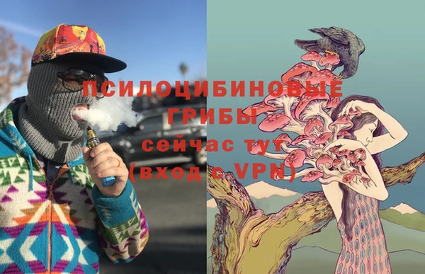 твердый Магас