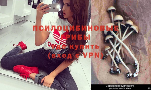 дурь Майский