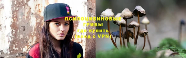 твердый Магас