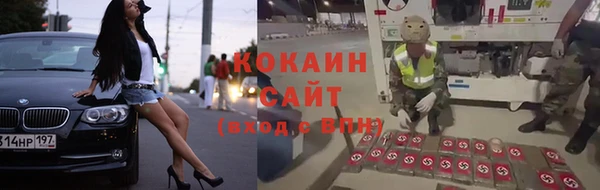 твердый Магас
