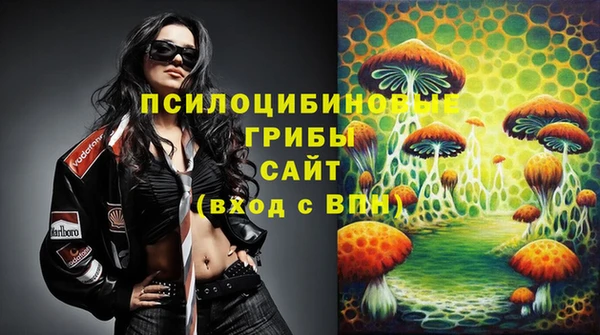 твердый Магас