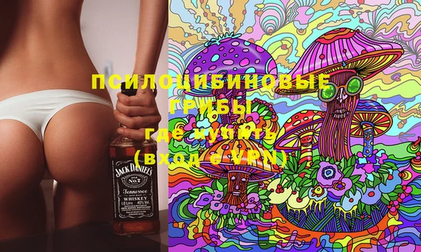 твердый Магас