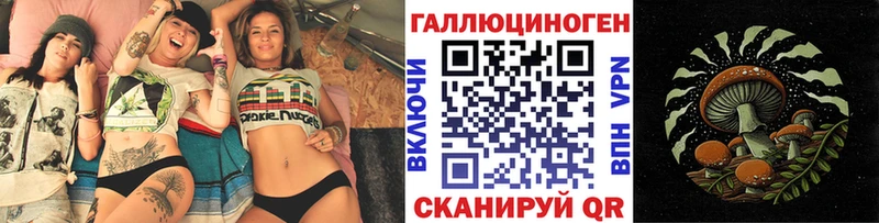 Псилоцибиновые грибы прущие грибы  ссылка на мегу онион  Новая Ладога 