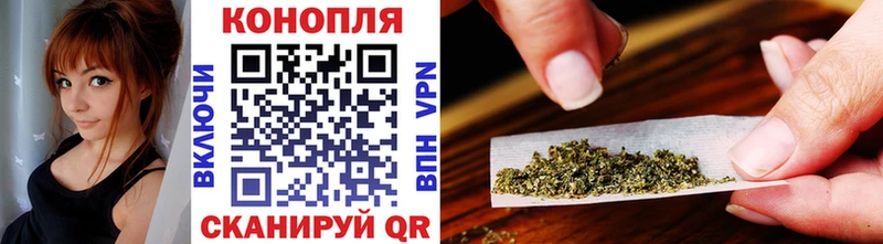 дарк нет клад  Новая Ладога  Конопля тримм 